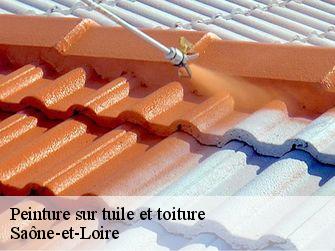 Peinture sur tuile et toiture