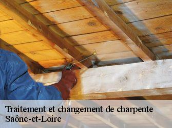 Traitement et changement de charpente Saône-et-Loire 