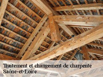 Traitement et changement de charpente