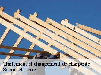 Traitement et changement de charpente Saône-et-Loire 