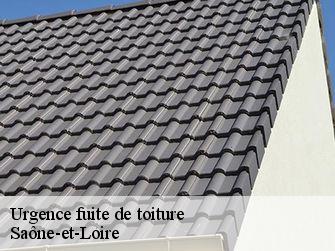 Urgence fuite de toiture