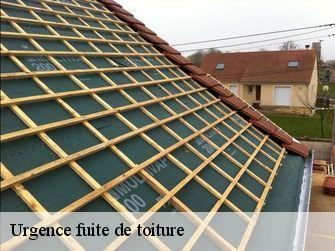 Urgence fuite de toiture Saône-et-Loire