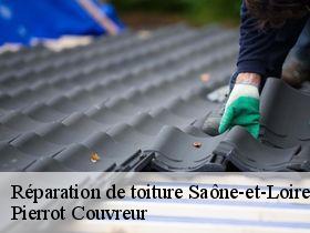 Réparation de toiture 71 Saône-et-Loire Pierrot Couvreur