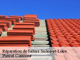 Réparation de toiture Saône-et-Loire 