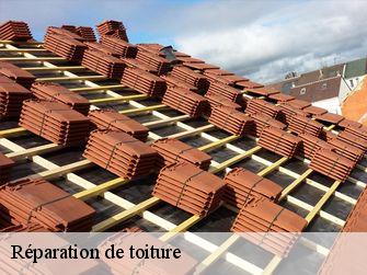 Réparation de toiture Saône-et-Loire