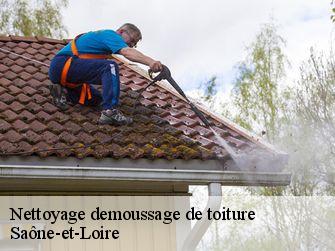 Nettoyage demoussage de toiture