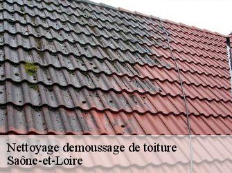 Nettoyage demoussage de toiture Saône-et-Loire
