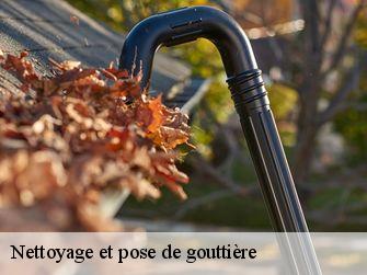 Nettoyage et pose de gouttière Saône-et-Loire 