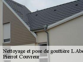 Nettoyage et pose de gouttière  l-abergement-de-cuisery-71290 Pierrot Couvreur