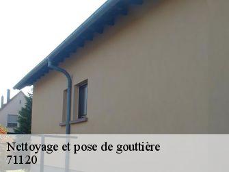 Nettoyage et pose de gouttière  71120