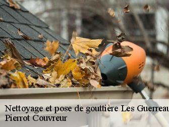 Nettoyage et pose de gouttière 71160