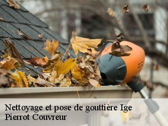 Nettoyage et pose de gouttière 71960