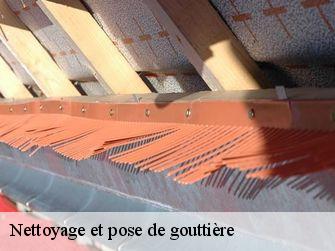 Nettoyage et pose de gouttière