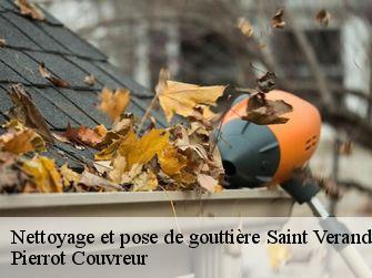 Nettoyage et pose de gouttière 71570