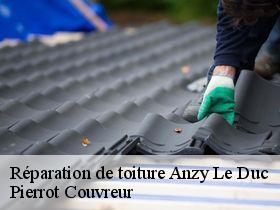 Réparation de toiture  anzy-le-duc-71110 Pierrot Couvreur