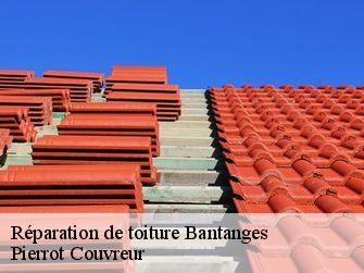Réparation de toiture 71500