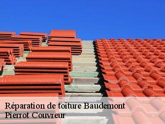 Réparation de toiture 71800
