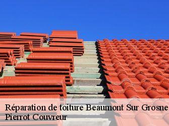 Réparation de toiture 71240