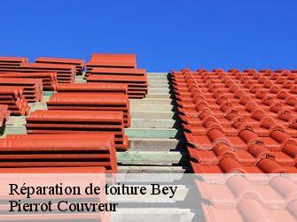 Réparation de toiture 71620