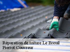Réparation de toiture  le-breuil-71670 Pierrot Couvreur