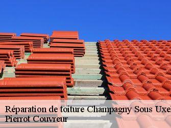 Réparation de toiture 71460