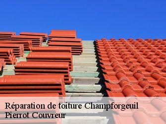 Réparation de toiture 71530
