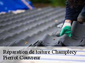 Réparation de toiture  champlecy-71120 Pierrot Couvreur