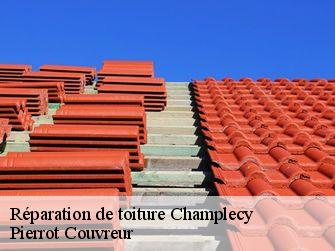Réparation de toiture 71120
