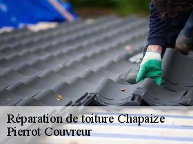 Réparation de toiture  chapaize-71460 Pierrot Couvreur