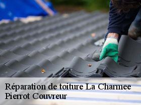 Réparation de toiture  la-charmee-71100 Pierrot Couvreur