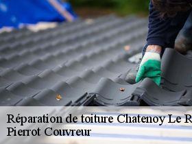 Réparation de toiture  chatenoy-le-royal-71880 Pierrot Couvreur