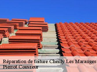 Réparation de toiture 71150