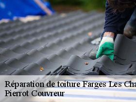 Réparation de toiture  farges-les-chalon-71150 Pierrot Couvreur