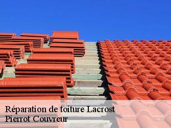 Réparation de toiture 71700