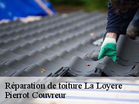 Réparation de toiture la-loyere-71530 Pierrot Couvreur