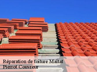 Réparation de toiture 71140