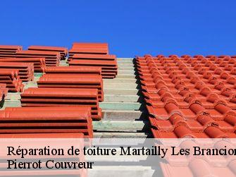 Réparation de toiture 71700