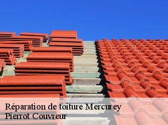 Réparation de toiture 71640