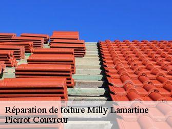 Réparation de toiture 71960