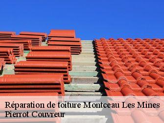 Réparation de toiture 71300