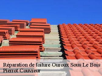 Réparation de toiture 71800