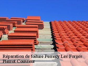 Réparation de toiture 71420