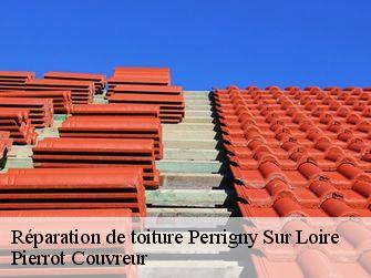 Réparation de toiture 71160