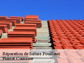 Réparation de toiture 71230