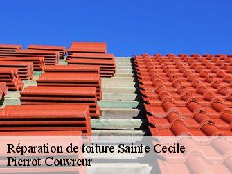Réparation de toiture 71250