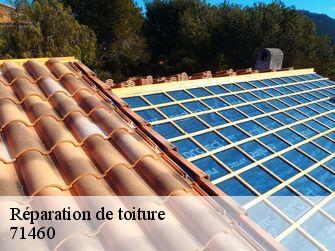Réparation de toiture 71460