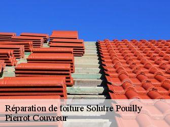 Réparation de toiture 71960