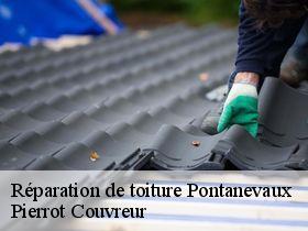 Réparation de toiture  pontanevaux-71570 Pierrot Couvreur