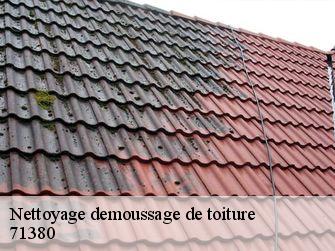 Nettoyage demoussage de toiture  71380