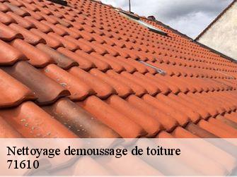 Nettoyage demoussage de toiture  71610